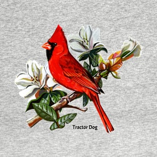 Cardinal Perch Red Bird T-Shirt